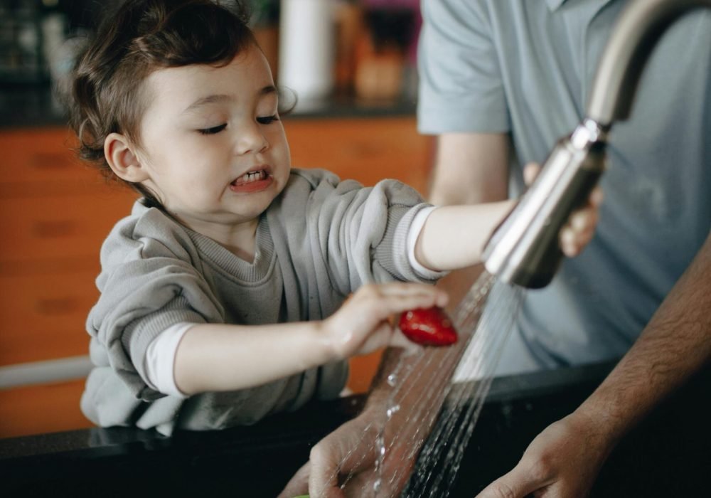 pexels-pnw-prod-7677918